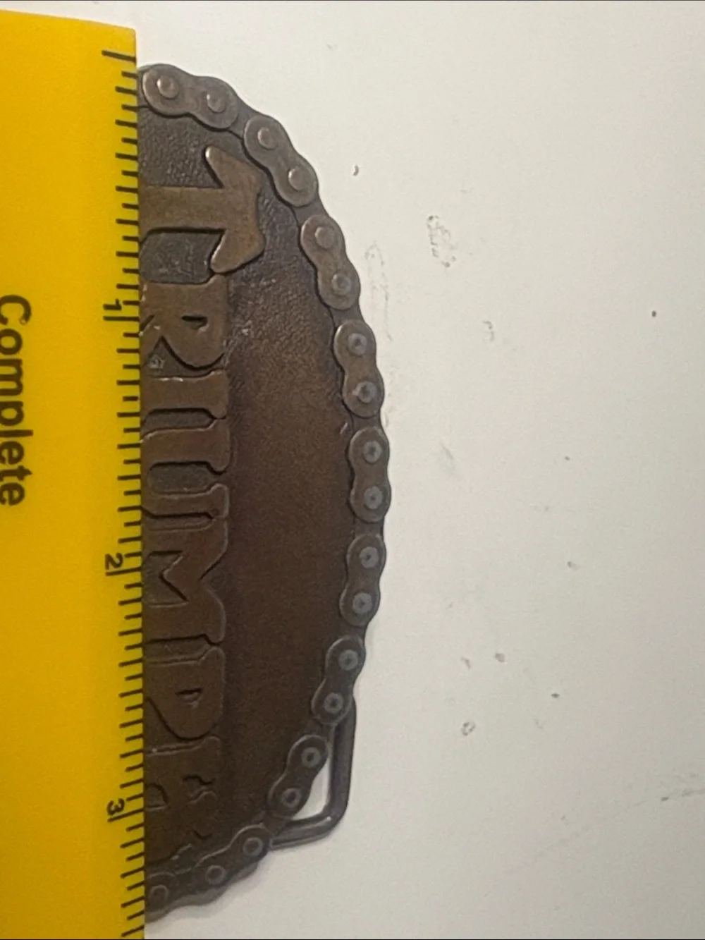 Triumph Oval Embossed Belt Buckle - Brown/Antique Brass - 3.5x2 in